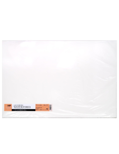 10 Hojas Papel Acuarela Gg 100% Algodón 56 Cm X 76 Cm