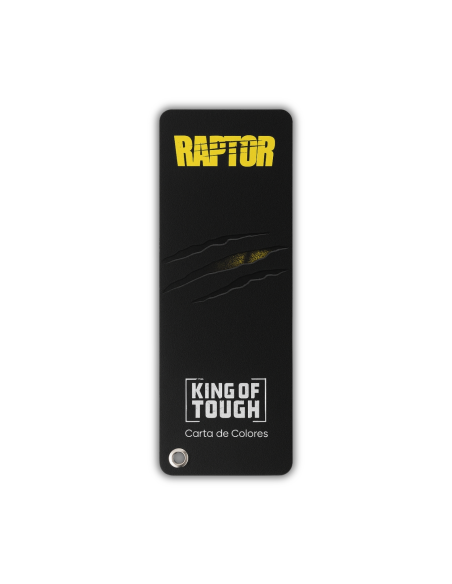 Carta Colores Raptor RAL