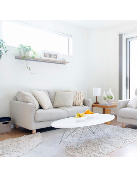 Pintura Interior a la Cal Ecológica Ecosphere Blanco 1 Lt